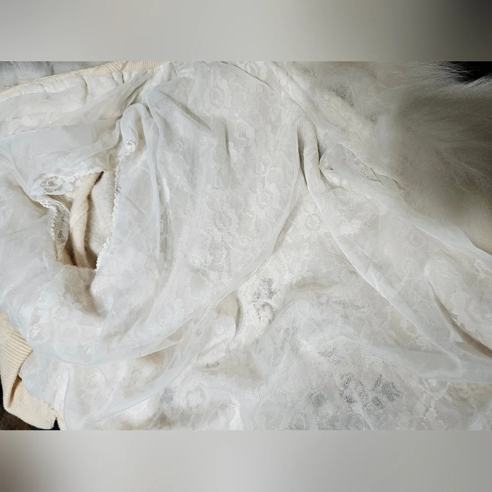 VTG 1950s Berhma Altmann 100% Cashmere And Arctic Fox Collar Sweater Medium? - Picture 6 of 8